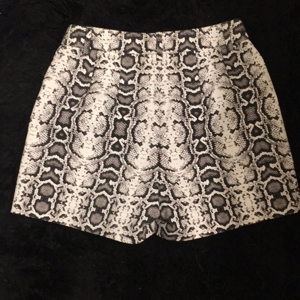 Express shorts - Picture 2 of 5